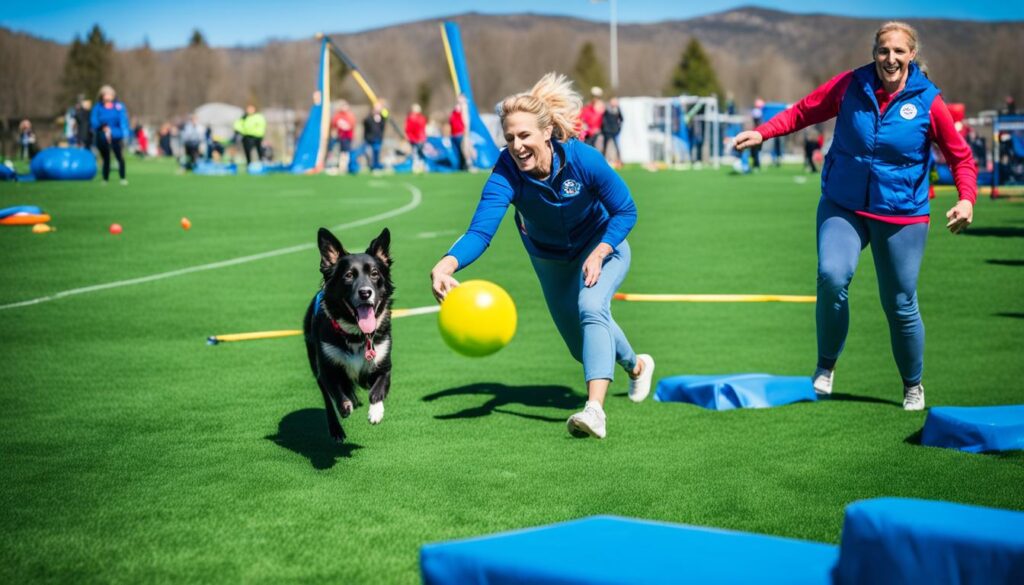 training a rescue dog
